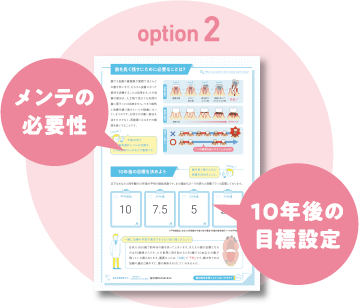 [option2]メンテの必要性。10年後の目標設定